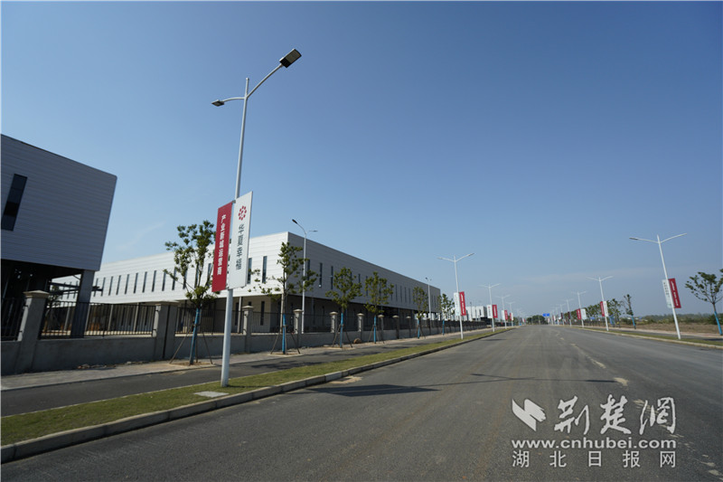 298479725091501246.jpg 298479725091501246.jpg